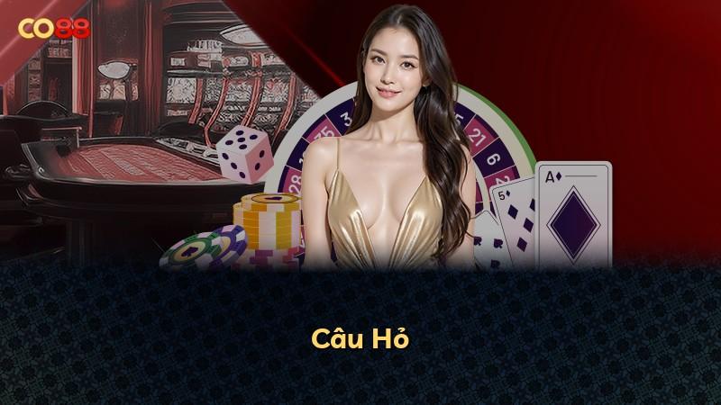 Câu Hỏ