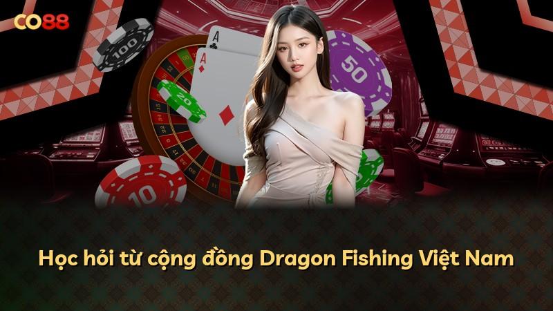Học hỏi từ cộng đồng Dragon Fishing Việt Nam