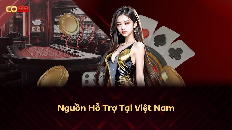 Nguồn Hỗ Trợ Tại Việt Nam