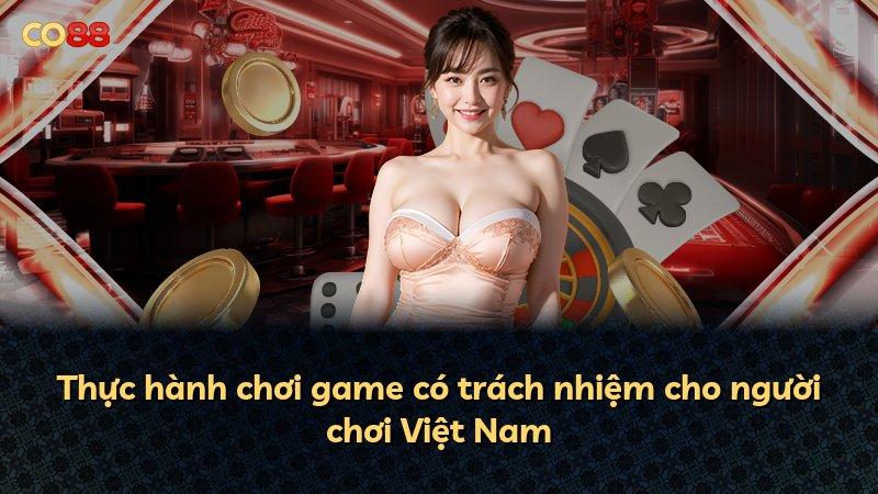 Thực hành chơi game có trách nhiệm cho người chơi Việt Nam